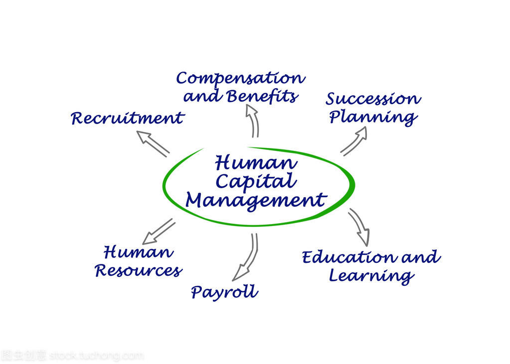 人力資本管理 從成本控制到價值創造的戰略轉型